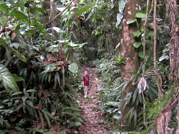 17b - Parc des Mamelles - Marche 006.jpg